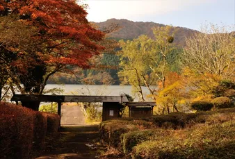 箱根九頭龍の森